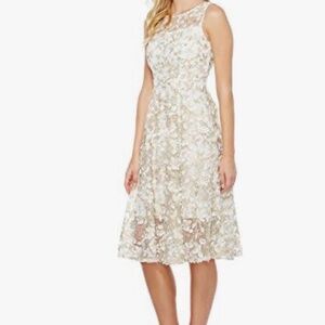 Adriana Papell lace dress , white with bronze gold detailing NWOT
